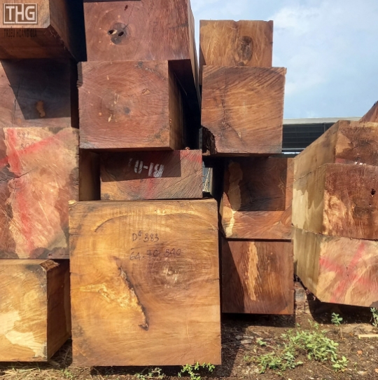Gỗ nguyên khối nhập khẩu