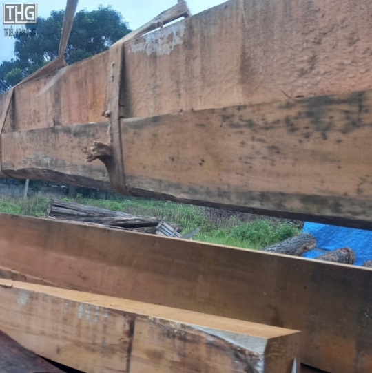Gỗ nguyên khối nhập khẩu