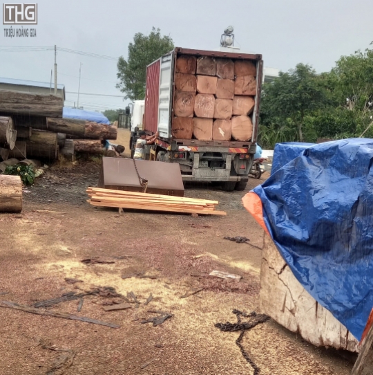 Gỗ nguyên khối nhập khẩu